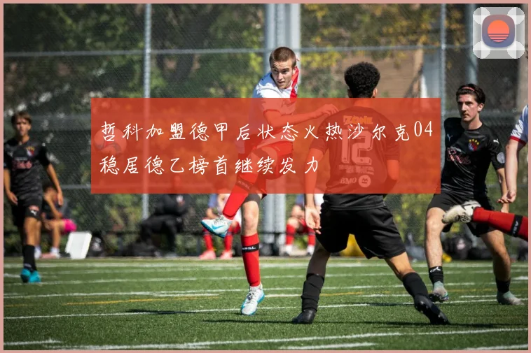 哲科加盟德甲后状态火热沙尔克04稳居德乙榜首继续发力