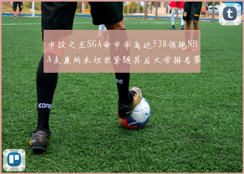 中投之王SGA命中率高达538领跑NBA麦康纳米切尔紧随其后大帝排名第七