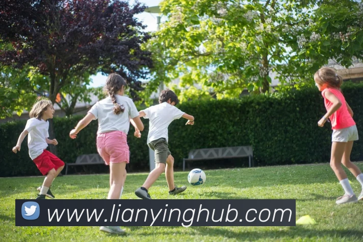 多媒体互动体验